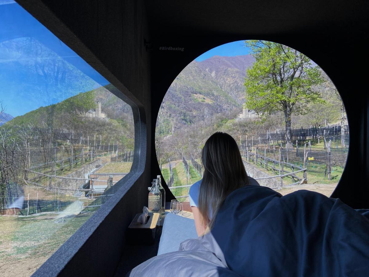 Birdbox Curzutt Hotel Monte Carasso Екстериор снимка