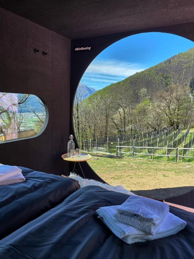 Birdbox Curzutt Hotel Monte Carasso Екстериор снимка