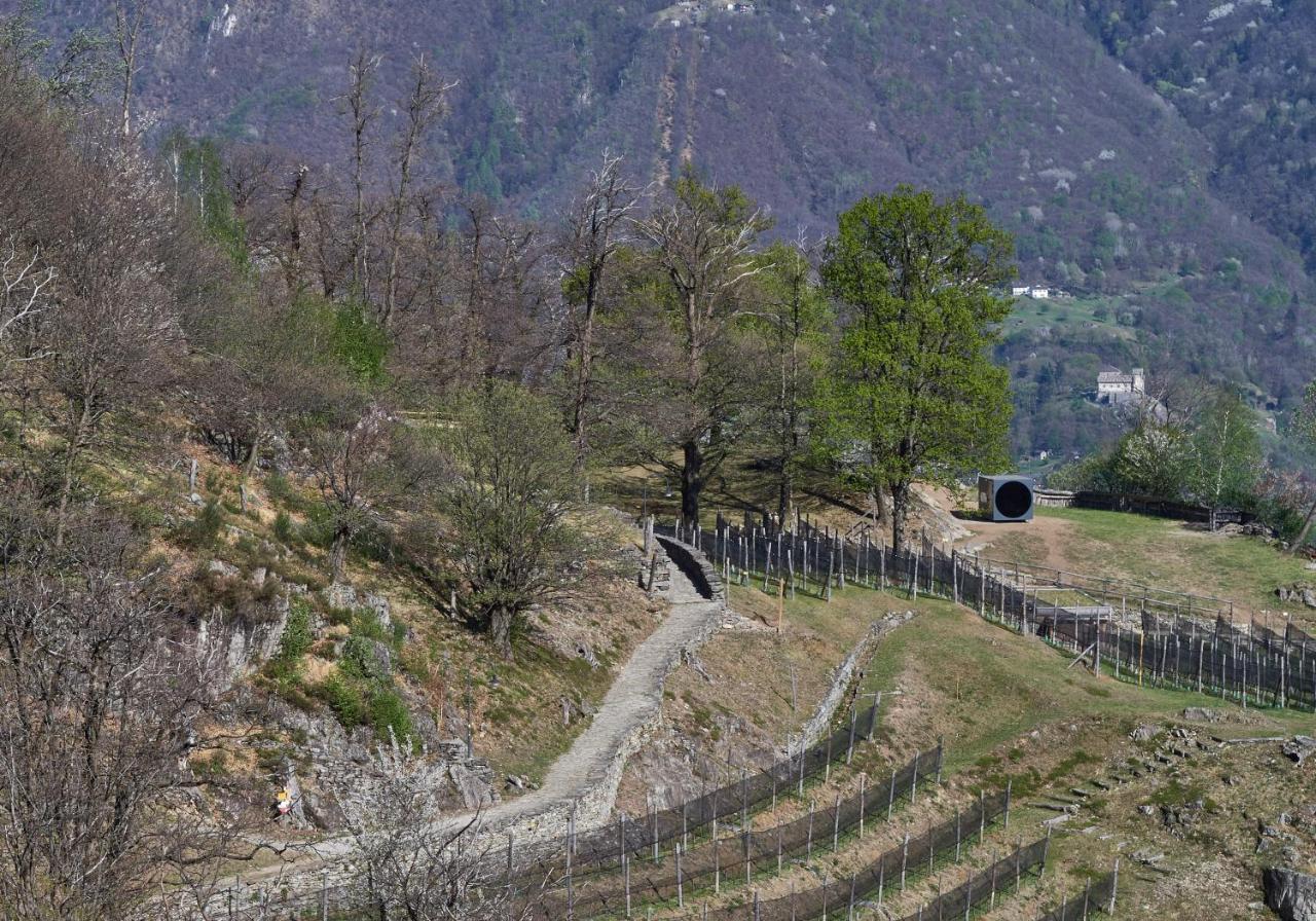 Birdbox Curzutt Hotel Monte Carasso Екстериор снимка