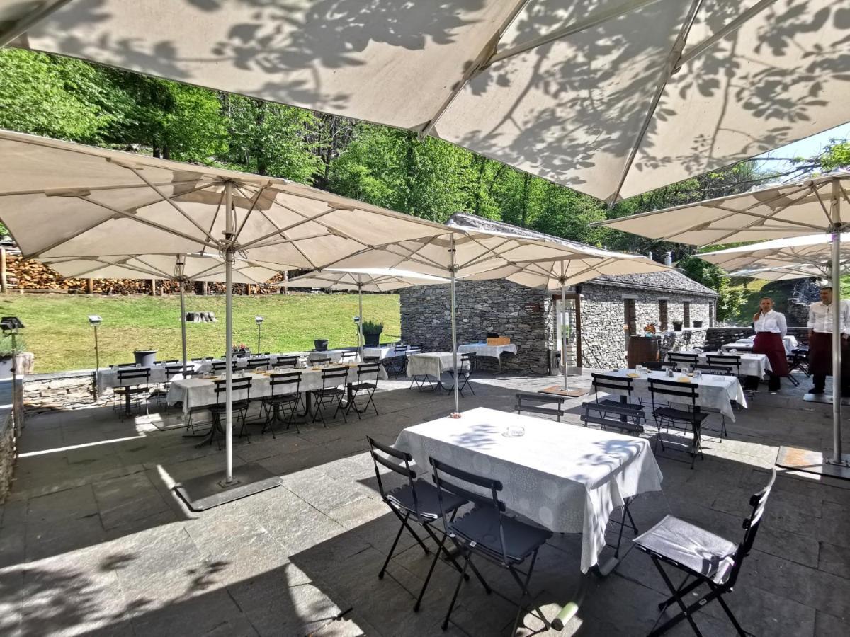 Birdbox Curzutt Hotel Monte Carasso Екстериор снимка